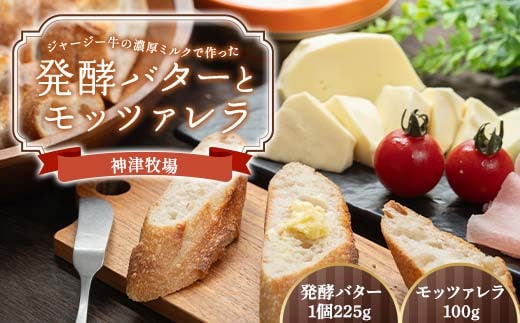 【神津牧場】ジャージー牛の濃厚ミルクで作った発酵バター1缶（225g） とモッツァレラ （100g） F21K-491