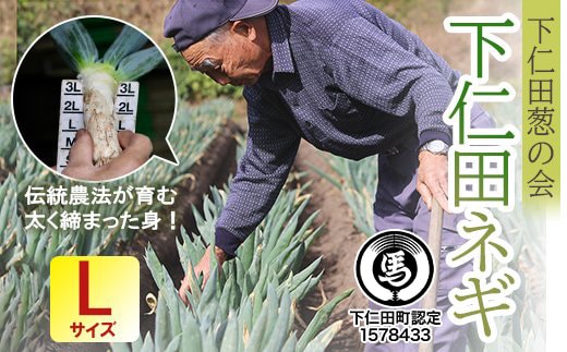 下仁田葱の会の下仁田葱（Lサイズ）とろける 甘い ネギ 王様 ねぎ 殿様ねぎ 特産 栄養たっぷり ブランド 上州ねぎ すきやき F21K-588