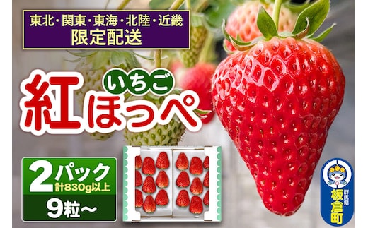 【東北・関東・東海・北陸・近畿 限定配送】いちご「紅ほっぺ」９粒～ (2パック計830g以上)《先行受付》【1月上旬から順次発送】イチゴ 苺 あまい １粒35g以上の特大粒を厳選 産地直送ならではの大きさと赤さ 一般市場には流通しない厳選のいちご [先行予約 先行受付 イチゴ 苺 大粒 初摘み あまい 綺麗 真っ赤 大きい 35g以上 甘い いちご]