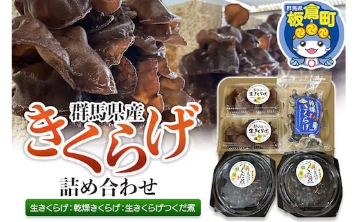 きくらげ 詰め合わせセット 群馬県産【生きくらげ 乾燥きくらげ つくだ煮】3種 計5個 [国産 きくらげ 生きくらげ 乾燥 きくらげ 生きくらげ佃煮 つくだ煮 詰め合わせ セット 群馬県 板倉町]
