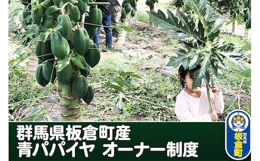 群馬県板倉町産 青パパイヤ オーナー制度