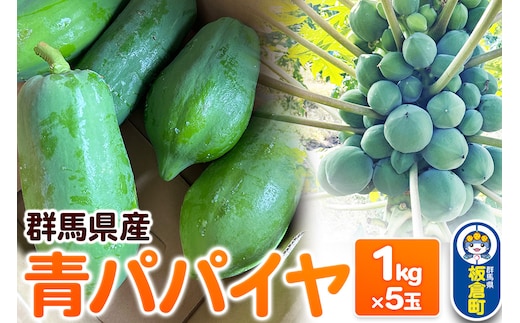 【発送期間限定】青パパイヤ 5kgセット（1kg×5玉）群馬県産 国産 フルーツ 果物 南国 トロピカル