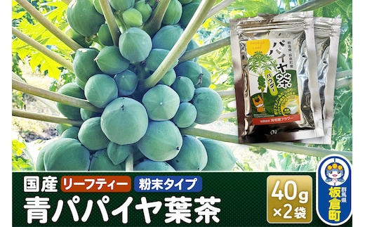 群馬県板倉町産 青パパイヤ葉茶（40g×2袋）リーフティー 粉末タイプ 国産 フルーツ 果物 南国 トロピカル