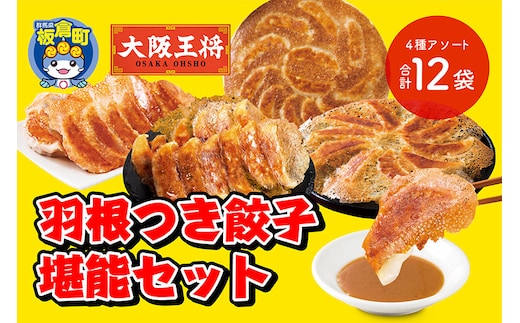 大阪王将 羽根つき餃子堪能セット(4種アソート)計12袋