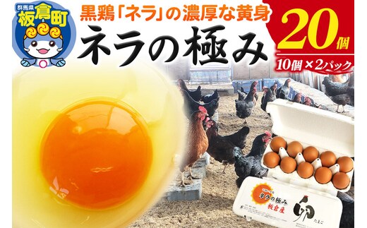 ネラの極み 卵 たまご 20個（10個×2パック） [ネラの極み 卵 たまご 玉子 タマゴ 黄身 濃厚 コク オランダ原産 黒鶏 群馬県 板倉町]