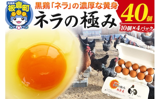 ネラの極み 卵 たまご 40個（10個×4パック） [ネラの極み 卵 たまご 玉子 タマゴ 黄身 濃厚 コク オランダ原産 黒鶏 群馬県 板倉町]