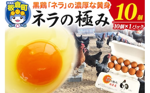ネラの極み 卵 たまご 10個（10個×1パック）