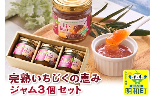 完熟いちじくの恵みジャム 150g×3個