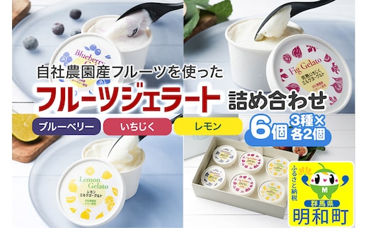 自社農園産フルーツジェラート詰め合わせ 6個