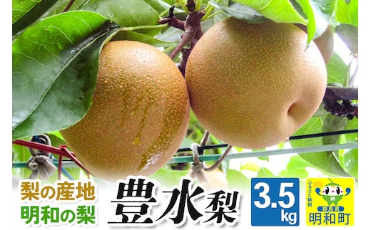 梨（豊水 ほうすい）3.5kg【9月上旬～9月中旬にお届け】 果物 フルーツ [梨 なし ナシ 和梨 ジューシー 果汁たっぷり 梨の産地 群馬県明和産 肉質柔らか 甘い 豊水 ほうすい 人気品種]
