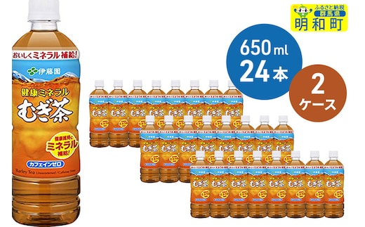 伊藤園 健康ミネラルむぎ茶 ＜650ml×24本＞【2ケース】