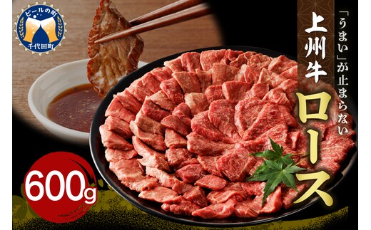 牛肉 ロース 【上州牛】 600g 群馬 県 千代田町