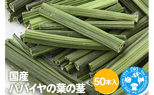 国産 パパイヤの葉の茎 50本入