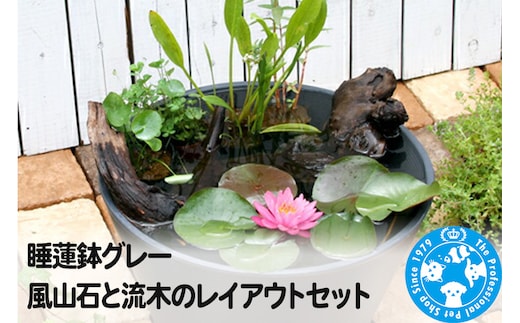 睡蓮鉢グレー 風山石と流木のレイアウトセット