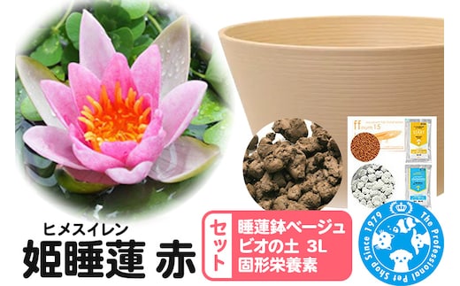 睡蓮 姫睡蓮(ヒメスイレン) 赤 1株+睡蓮鉢ベージュ+ビオの土 3L+固形栄養素