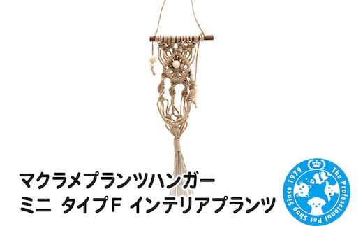 マクラメプランツハンガー ミニ タイプF インテリアプランツ