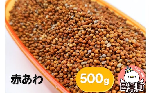 赤あわ 500g×1袋 サイトウ・コーポレーション 飼料