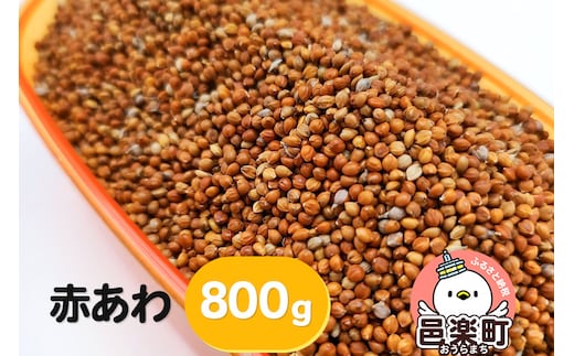 赤あわ 800g×1袋 サイトウ・コーポレーション 飼料