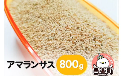 アマランサス 800g×1袋 サイトウ・コーポレーション 飼料