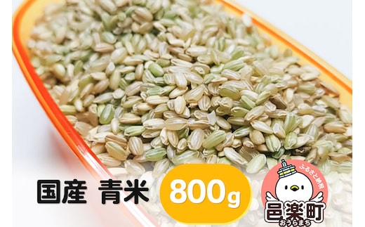 【国産】青米 800g×1袋 サイトウ・コーポレーション 飼料