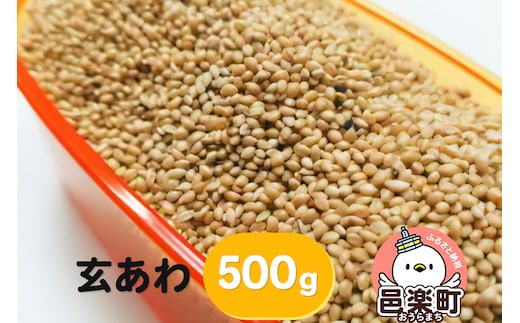 玄あわ 500g×1袋 サイトウ・コーポレーション 飼料