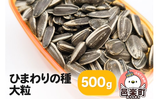 ひまわりの種・大粒 500g×1袋 サイトウ・コーポレーション 飼料