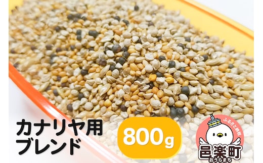 カナリヤ用ブレンド 800g×1袋 サイトウ・コーポレーション 飼料