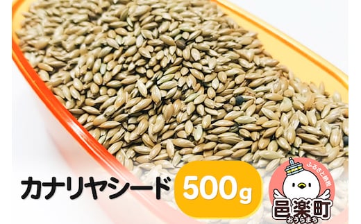 カナリヤシード 500g×1袋 サイトウ・コーポレーション 飼料
