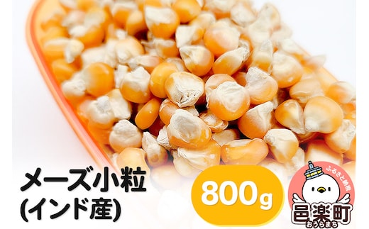 メーズ小粒(インド産) 800g×1袋 サイトウ・コーポレーション 飼料