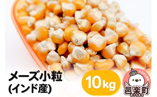 メーズ小粒(インド産) 10kg×1袋 サイトウ・コーポレーション 飼料