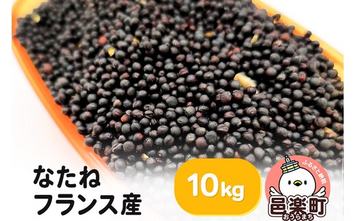 なたね フランス産 10kg×1袋 サイトウ・コーポレーション 飼料