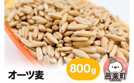 オーツ麦 800g×1袋 サイトウ・コーポレーション 飼料