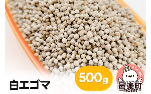 白エゴマ 500g×1袋 サイトウ・コーポレーション 飼料