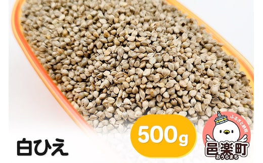白ひえ 玄ひえ 500g×1袋 サイトウ・コーポレーション 飼料