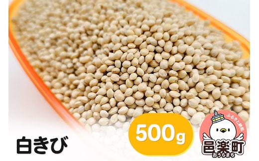 白きび 500g×1袋 サイトウ・コーポレーション 飼料