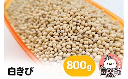 白きび 800g×1袋 サイトウ・コーポレーション 飼料
