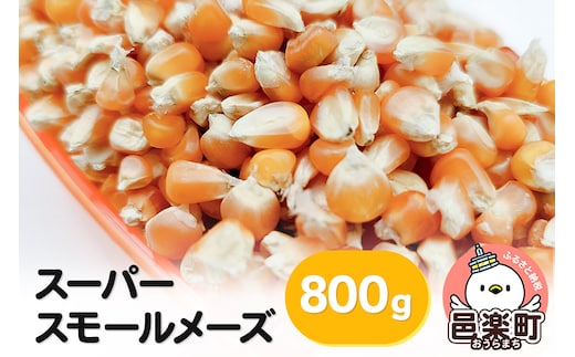 スーパースモールメーズ 800g×1袋 サイトウ・コーポレーション 飼料