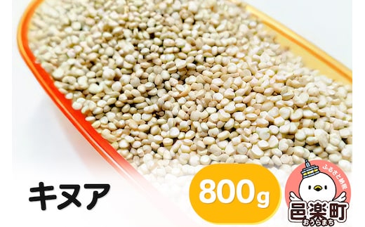 キヌア 800g×1袋 サイトウ・コーポレーション 飼料
