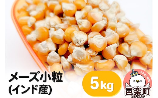 メーズ小粒(インド産) 5kg×1袋 サイトウ・コーポレーション 飼料