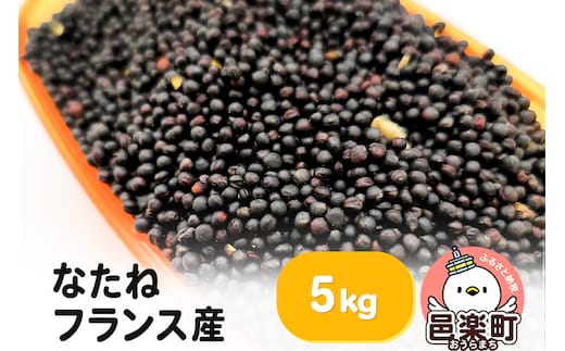 なたね フランス産 5kg×1袋 サイトウ・コーポレーション 飼料