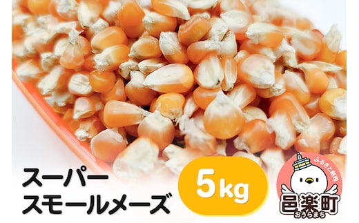 スーパースモールメーズ 5kg×1袋 サイトウ・コーポレーション 飼料