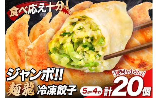 冷凍餃子4人前（計約860g） [もちもち モチモチ 中華 惣菜 点心 餃子 ぎょうざ ギョウザ ギョーザ 野菜たっぷり 食べ応え 群馬県]