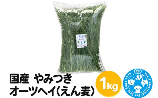 国産 やみつきオーツヘイ（えん麦）1kg [業務用サイズ 牧草 うさぎ モルモット 小動物おやつ USAYAMA 株式会社チャーム charm ペット]