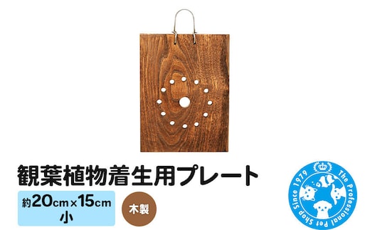 観葉植物着生用プレート 木製 小(約20×15cm) 1枚 コウモリラン ビカクシダ [株式会社チャーム charm 観葉植物 木製 壁掛け]