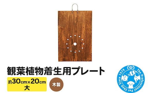 観葉植物着生用プレート 木製 大(約30×20cm) 1枚 コウモリラン ビカクシダ [株式会社チャーム charm 観葉植物 木製 壁掛け]