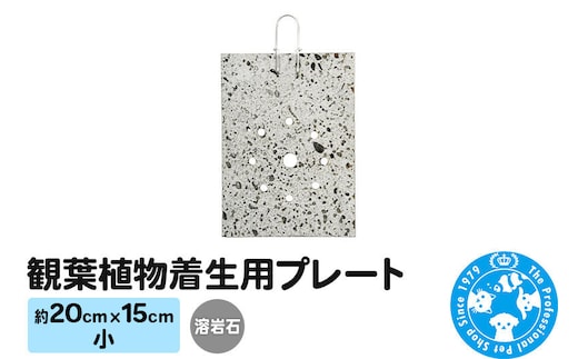 観葉植物着生用プレート 溶岩石 小(約20×15cm) 1枚 コウモリラン ビカクシダ [株式会社チャーム charm 観葉植物 溶岩石 壁掛け]