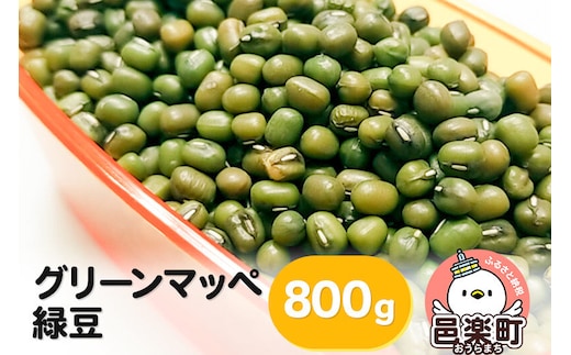 グリーンマッペ（緑豆）800g×1袋 サイトウ・コーポレーション 飼料 [鳥 鳩 ハト 小鳥 インコ 文鳥 カナリア 小動物 草食 雑穀 餌 えさ エサ ペット]