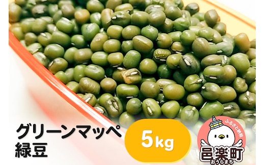 グリーンマッペ（緑豆）5kg×1袋 サイトウ・コーポレーション 飼料 [鳥 鳩 ハト 小鳥 インコ 文鳥 カナリア 小動物 草食 雑穀 餌 えさ エサ ペット]