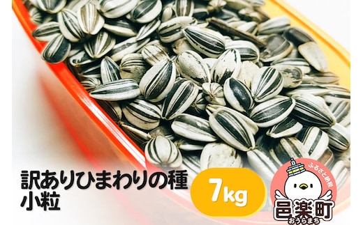 【訳あり】ひまわりの種・小粒 7kg×1箱 ※箱詰め※ サイトウ・コーポレーション 飼料 [鳥 鳩 ハト 小鳥 インコ 文鳥 カナリア 小動物 草食 雑穀 餌 えさ エサ ペット]