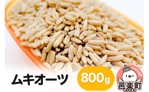 ムキオーツ 800g×1袋 サイトウ・コーポレーション 飼料 [鳥 鳩 ハト 小鳥 インコ 文鳥 カナリア 小動物 草食 雑穀 餌 えさ エサ ペット]